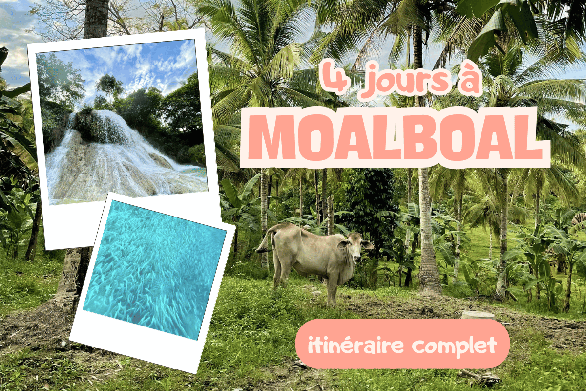 Couverture - itinéraire 4 jours Moalboal - Philippines