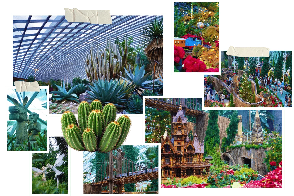 Etape 3 - Escale Singapour - Gardens by the Bay 2